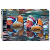 pict_0f0f5b6a-6f60-4e92-8136-10e4d586a354