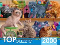 pict_42719f9c-0d65-43bc-91f7-8db39f6482ea