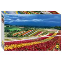 pict_cffed07e-a665-46d3-9503-b5766dbc4090