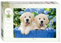 pict_734c362e-5b0c-46fb-bd32-fa945a526078