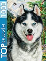 0ф-00085301