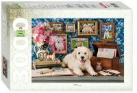 pict_a99e1c4b-ae1d-4f30-8f5a-78685dae6963