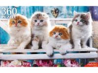 35af6e871ca8cb98b1c2207a253af419