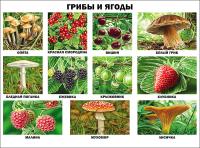 pict_844ef44b-2dbe-4c12-aef3-db3d65424796