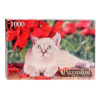 pict_4f27cf32-74ac-4455-ac62-f823c66f6dfb