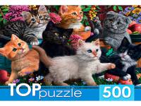 9a073c259dc1ecb96d335ac671f9cb1c