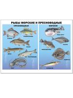 pict_3c7ac053-84c5-4fe4-9f99-e1b0866292d1