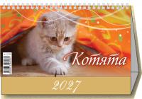 котята
