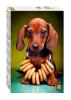 on7qd01iyetuwfta0c1l70hlhhi2jfyc