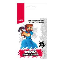item_33673
