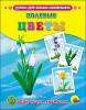 926b96eb-3fee-11e9-9be3-4ccc6ab321ae_a9e57ce6-4285-11e9-9be3-4ccc6ab321ae