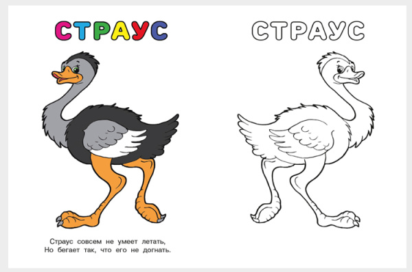 pict_c8b0a5bd-f9b5-495c-96c2-bb6a2548b980