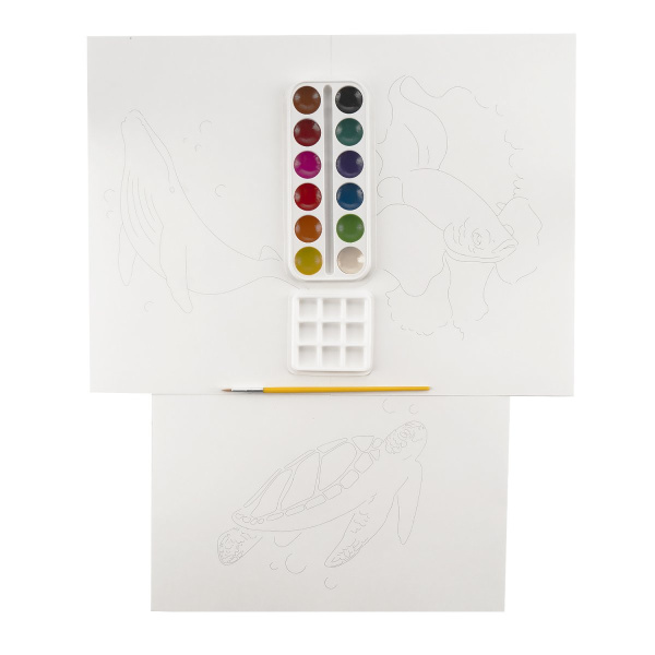 pict_55b970fe-9fea-4bfa-8715-3c2c74085517