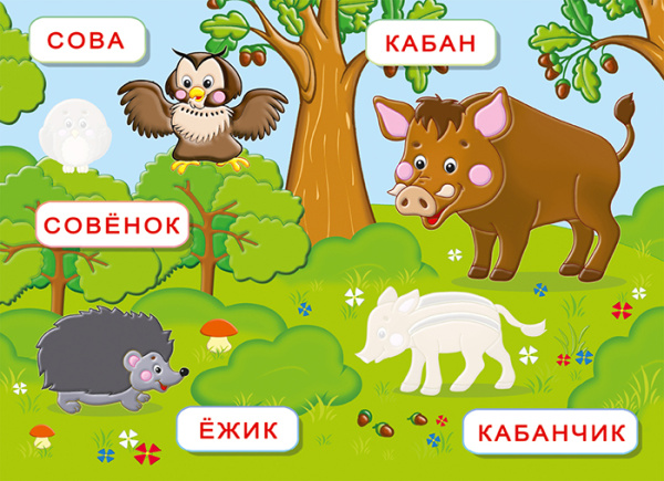 1xjaiggoti4n3s8rl3z6ipdsltz932hb