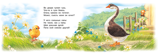 pict_e476f22d-cd9f-49a2-8330-404a1f499c42