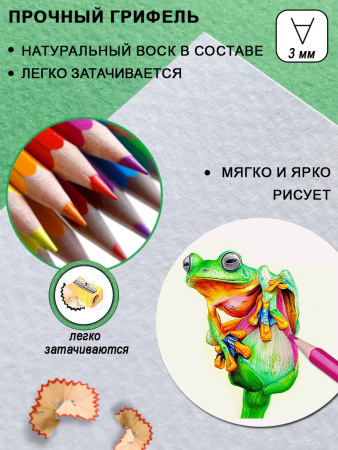 PCP-018 2