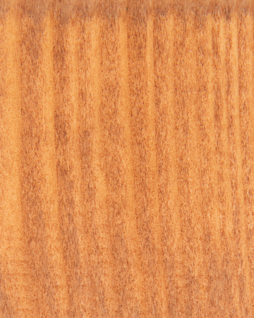 pict_00fe26d5-ebf4-4443-9cc3-c25a34e70658