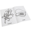 pict_c942c816-271c-4acc-a271-9f1d98e0c563