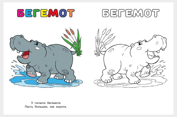 pict_0589fb36-8537-41e2-8b17-de6664eecbf3