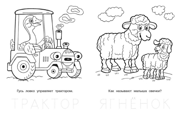 wtad8e31e3eygxc43ypbkmr7qbf8hp40