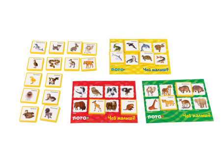 pict_92d53c1f-affe-4f1b-800a-ae44aae65d15