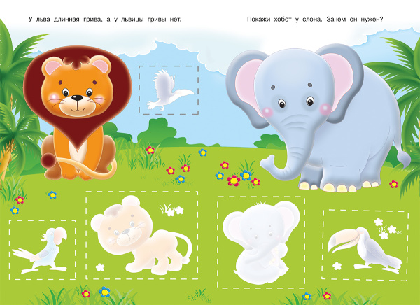 pict_e27a3ccc-a223-4572-baff-34993ba180a2