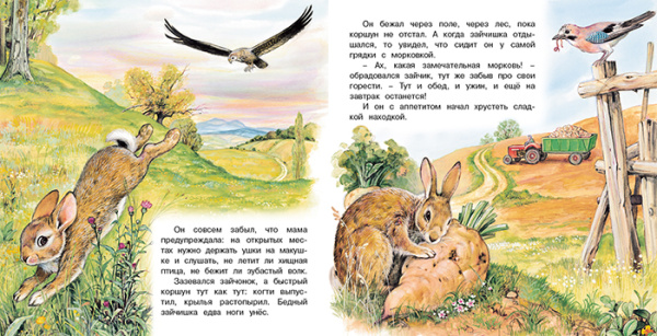 pict_b0a7be19-3806-4546-81f6-f2712628741c