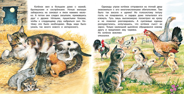 pict_d8601a62-06ad-4dad-90a9-bc5e1da53c4c