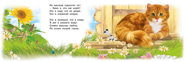 pict_48656d70-dda7-4d7a-85d2-96609bee7d83